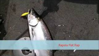 Crankbait King Salmon [upl. by Penthea396]