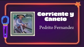 CORRIENTE Y CANELO  Pedrito Fernandez Karaoke  EdúMusic [upl. by Nema]