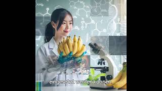 Genetisch modifizierte Bananen als Medizin 🍌💊 Mit einem Haken [upl. by Michaella991]