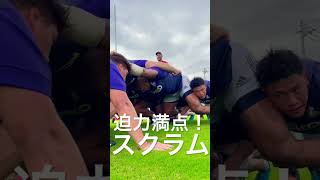 迫力満点！これがスクラムだ！ラグビー選手だ！ shorts [upl. by Enela745]