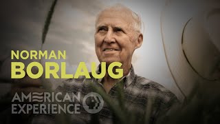 Norman Borlaug  The Man Who Tried to Feed the World  American Experience  PBS [upl. by Seniag]