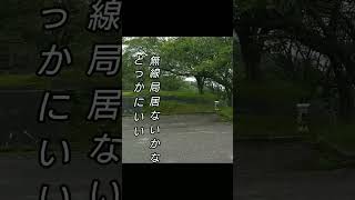 諸上寺公園で無線運用する信玄。 [upl. by Vivie]