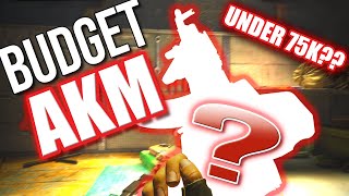 The Budget AKM That Will NOT Break Your Bank  Arena Breakout Infinite [upl. by Metzger348]