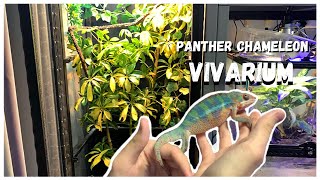 Panther Chameleon Cage Setup new plant [upl. by Naired823]