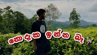 nodaka inna baනොදැක ඉන්න බෑ🧚‍♀️ cover 🎧 [upl. by Camala65]