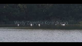 Wody Zagłębia Konińskiego [upl. by Vins]