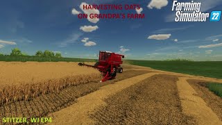 HARVESTING OATS ON GRANPAS FARM  STITZER WI EP4 [upl. by Syah]