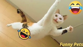 Funniest Cats And Dogs Videos 😁😁 Funniest Animals 2024  Funny pets 14 [upl. by Clevie945]