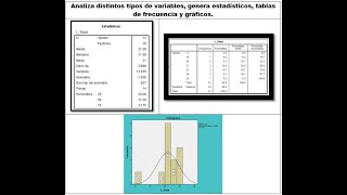 Análisis descriptivo en SPSS [upl. by Curley]