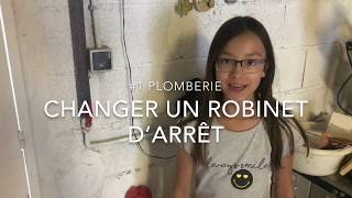 Changer un robinet d’arrêt 1 Plomberie [upl. by Enriqueta]