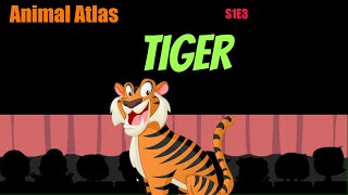 Animal Atlas S1E3 Tiger [upl. by Materi598]