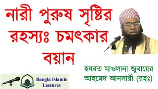 নারী পুরুষ সৃষ্টির রহস্য নিয়ে চমৎকার বয়ান  হযরত মাওলানা জুবায়ের আহমেদ আনসারী রহঃ। Bangla Islamic [upl. by Repotsirhc]