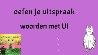 Oefen je uitspraak  woorden met UI [upl. by Humfrid26]