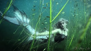 MERMAID SWIMMING WITH FISH THROUGH SEAWEED a freshwater underwater mermaid video  Mermaid Phantom [upl. by Gmur]