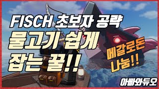 피쉬 초보자 공략 물고기 쉽게 잡는법 메갈로돈 나눔 아빠와듀오 Roblox FISCH [upl. by Viva]