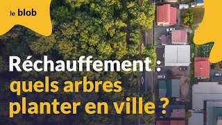 Une forêt urbaine expérimentale à Bordeaux pour guider les futures plantations darbres  Reportage [upl. by Egwin]