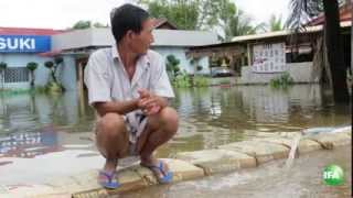 RFA Flood News in Cambodia 1st Oct 2013 [upl. by Ahsaeym]