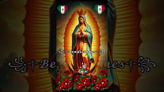 ꧁༒☬𝓑𝓮𝓷𝓭𝓲𝓬𝓲𝓸𝓷𝓮𝓼☬༒꧂parati virgendeguadalupe virgen madrededios madrenuestra amén fyp [upl. by Adnohsor93]