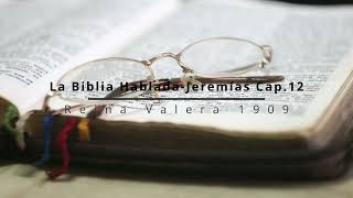 La Biblia Hablada Jeremías Cap 12 [upl. by Etan]