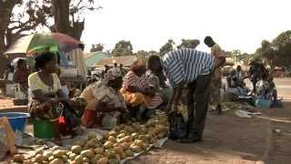 Caju a fruta de Bissau [upl. by Annnora]