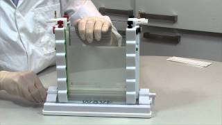 How To Cast and Run a Polyacrylamide Gel In The Wave Maxi Vertical [upl. by Yesnyl395]