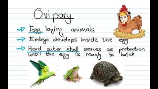 Types of Embryonic development [upl. by Brad]