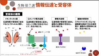 【高校生物】第7講「情報伝達と受容体」 [upl. by Animehliw]