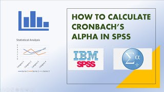 How to calculate Cronbachs alpha using SPSS [upl. by Jaquelin249]