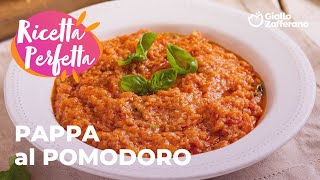 PAPPA al POMODORO GUSTO RUSTICO e RISULTATO IRRESISTIBILE😍🌞✨ [upl. by Meri519]