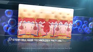 Stem Cell Hair Technology Factors New Zealand TV Commercial 30sec [upl. by Oluap801]