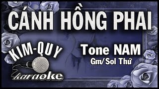 CÁNH HỒNG PHAI  KARAOKE  Tone NAM  GmSol Thứ [upl. by Aneez154]