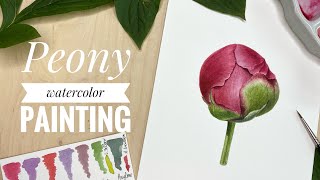 Peony watercolor painting tutorial  Learn to Paint Peony  Step by Step [upl. by Mather]