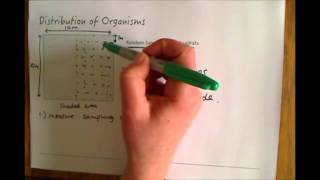 Additional Biology B2 Random Sampling With Quadrats [upl. by Mayram]