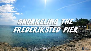 Snorkeling at the Frederiksted Pier in St Croix US Virgin Islands [upl. by Amora]