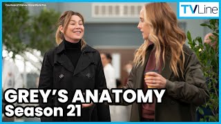 Grey’s Anatomy Season 21 Scoop [upl. by Mcgill]