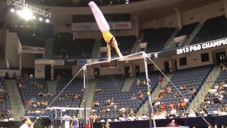 Adrian de los Angeles  High Bar  2013 PampG Championships  Sr Men  Day 1 [upl. by Ahsiened]