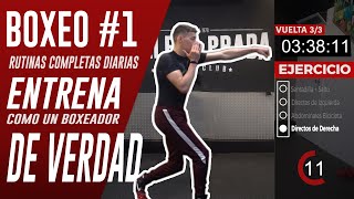 🥊 ENTRENA BOXEO en CASA  Entrenamiento completo 𝗡º𝟭 𝗱𝗲 𝟮𝟴 para entrenar como un boxeador de verdad [upl. by Balliett]