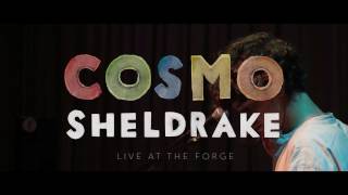 Cosmo Sheldrake  Live Improv in London  Track 1 [upl. by Crifasi452]