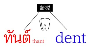 密かにつながる英語とタイ語【語源】 [upl. by Leumas]