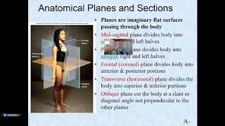 Anatomy amp Physiology LAB Intro [upl. by Farrica]