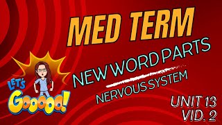 Central vs Peripheral Nervous System 🧠💥 Dive into CNS PNS amp More  Fun Medical Terminology [upl. by Ashely]