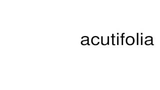 How to pronounce acutifolia [upl. by Wehtta]