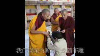 央金Lamu  Seventeenth Karmapa Birthday Song [upl. by Ennaecarg]