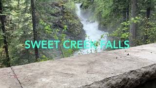 Sweet creek falls and eagles nest nearby [upl. by Alban]