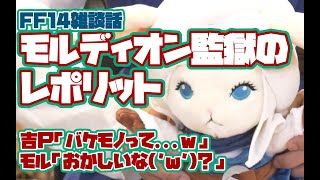 【FF14切り抜き】魔除け？ある意味ホラー！8等身レポリット [upl. by Ailisec273]