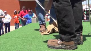 Rattlesnake Sacking Demonstration in Mangum OK 2013 [upl. by Darelle]