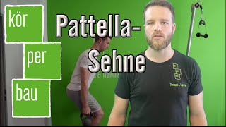 Exzentrisches Training bei Patellasehnenbeschwerden und Schmerzen [upl. by Hollenbeck]