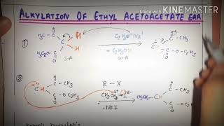 Alkylation of ethyl acetoacetate Acetoester synthesis previous paperOrganic Chemistry Bsc3 [upl. by Mirabella560]