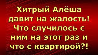 Alexey Krylov Алексей Крылов Хитрый Алёша давит на жалость Что случилось с ним и с квартирой Обзор [upl. by Heddie]