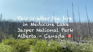 This is after the fire in Medicine Lake Jasper National Park Alberta Canada travel youtube [upl. by Branen301]